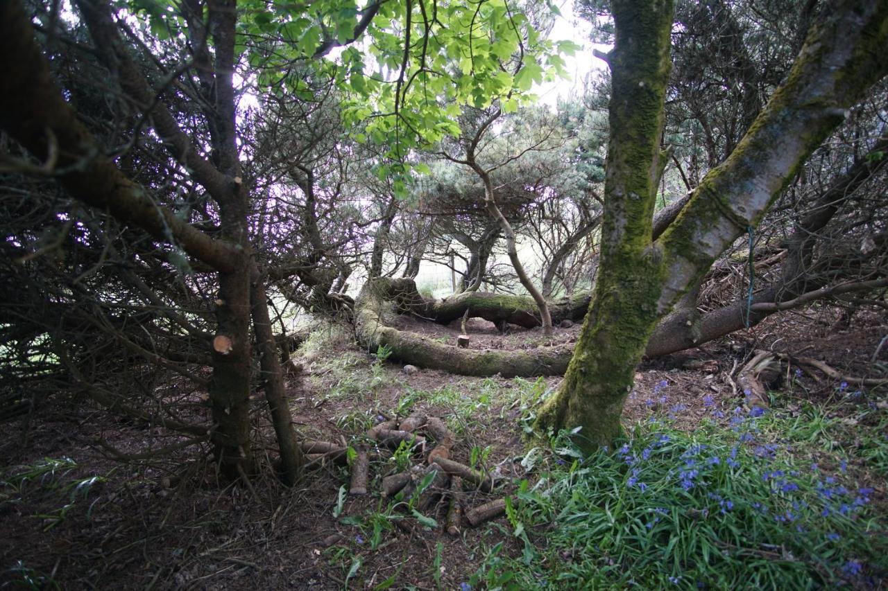 Remuera, North Tolsta Βίλα Εξωτερικό φωτογραφία